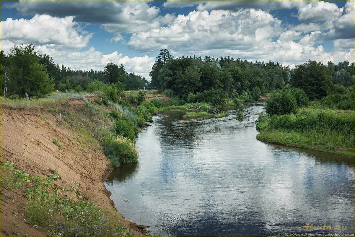 (отдых, удивительном, лесном, оренбургской, области) Отдых в удивительном лесном раю Оренбургской области — наслаждайтесь природой, открывайте новые горизонты и заряжайтесь энергией
