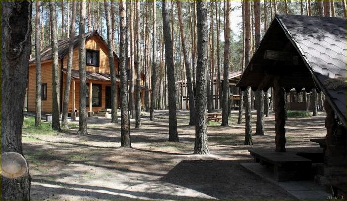 (активный, отдых, белгороде, белгородской, области) Активный отдых в Белгороде и Белгородской области — открытие потрясающих возможностей для активного времяпрепровождения и приключений