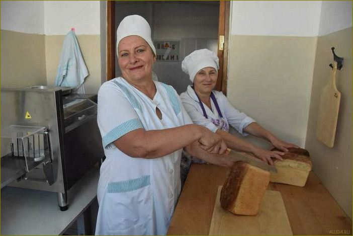 (работа, поваром, базе, отдыха, астраханской) Работа поваром в базе отдыха Астраханской области — вакансии, требования и перспективы карьерного роста