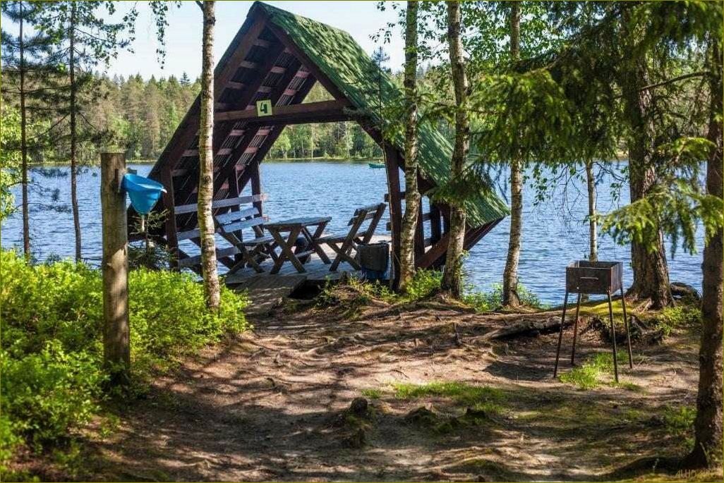 (база, отдыха, монетка, ленинградской, области) База отдыха