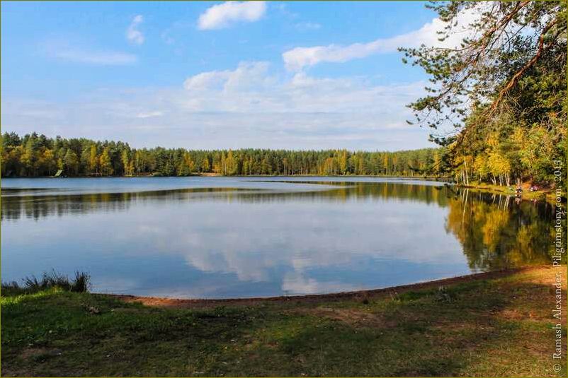 (база, отдыха, монетка, ленинградской, области) База отдыха