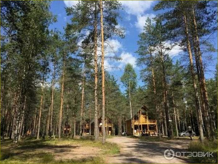 (база, отдыха, монетка, ленинградской, области) База отдыха
