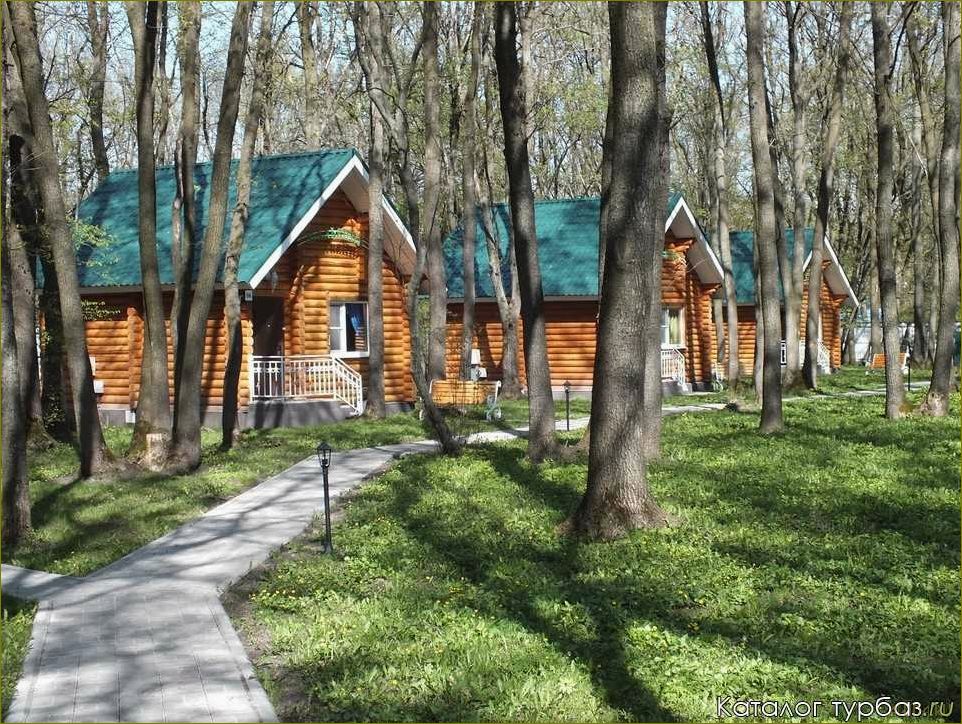 (база, отдыха, егоркины, горки, идеальное) База отдыха