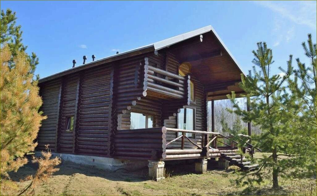 (база, отдыха, исаково, идеальное, место) База отдыха