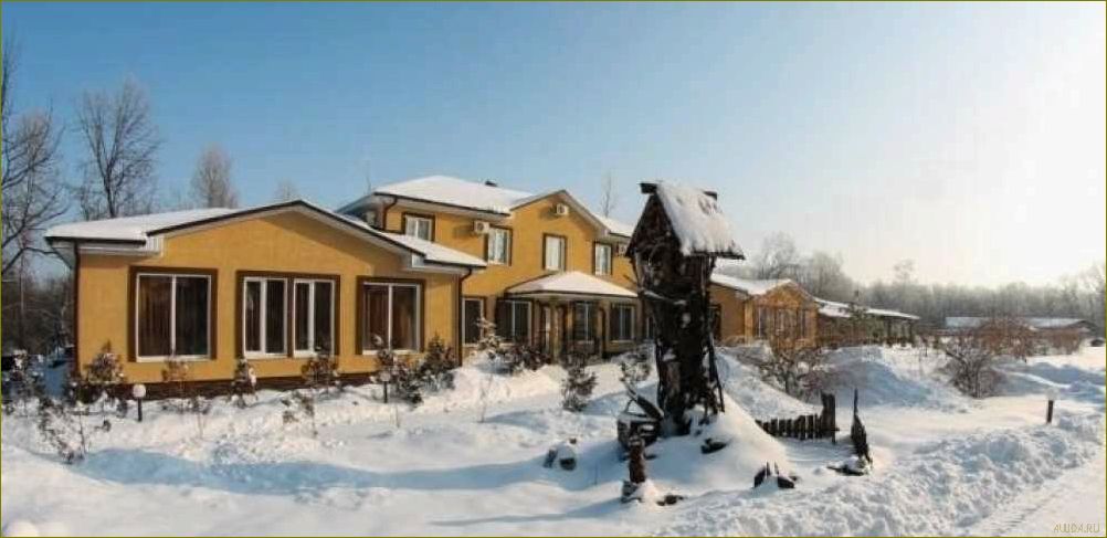 (база, отдыха, лукоморье, новый, жемчужина) База отдыха