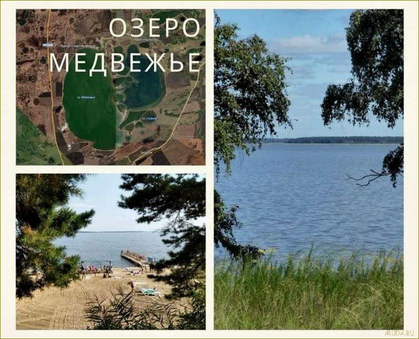 (уникальная, база, отдыха, берегу, живописного) Уникальная база отдыха на берегу живописного озера Медвежье в Курганской области