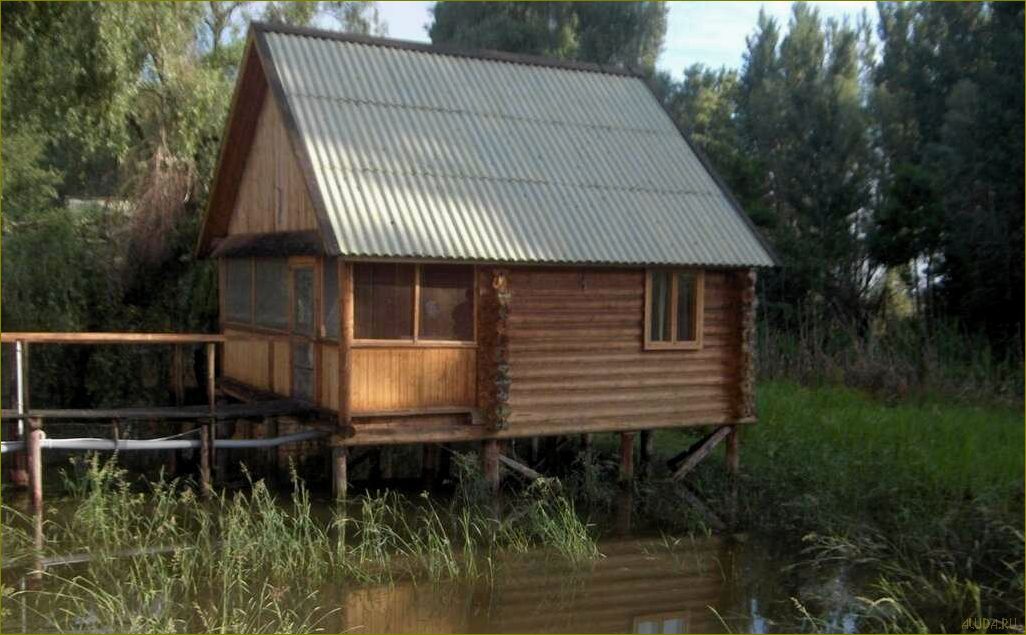 (база, отдыха, прокоста, астраханской, области) База отдыха