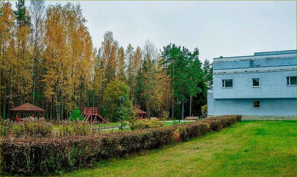 (захватывающая, база, отдыха, живописной, местности) Захватывающая база отдыха в живописной местности Зеркальное Ленинградской области — отдыхайте с комфортом и наслаждайтесь природой