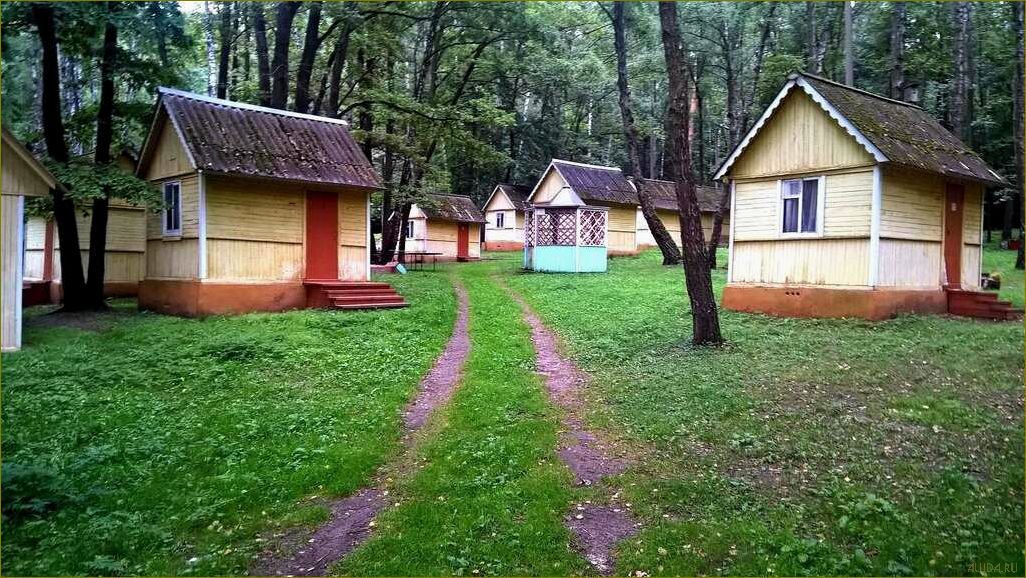 (база, отдыха, железнодорожный, московской, области) База отдыха