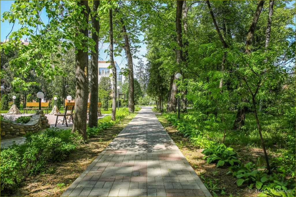 (база, отдыха, железнодорожный, московской, области) База отдыха