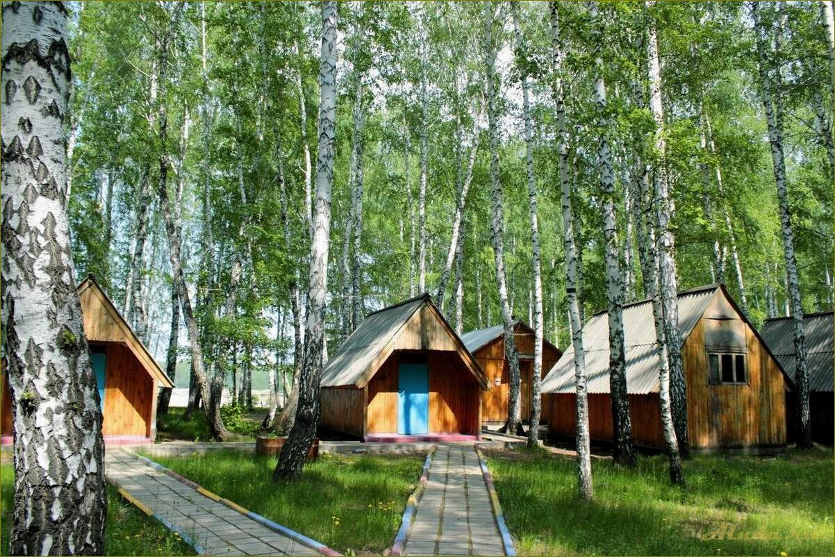 (лучшие, базы, отдыха, коттеджи, новосибирской) Лучшие базы отдыха и коттеджи в Новосибирской области — отдыхайте в окружении природы и комфорта