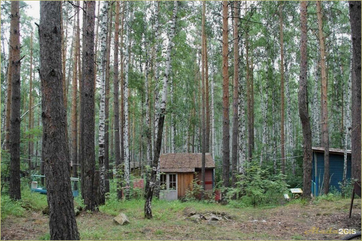 (базы, отдыха, озерск, челябинская, область) Базы отдыха Озерск Челябинская область: лучшие варианты для отдыха на природе