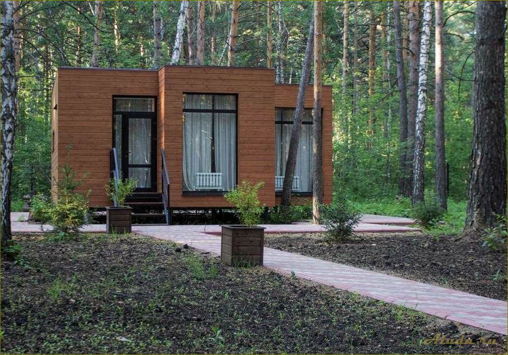 (лучшие, базы, отдыха, санатории, новосибирской) Лучшие базы отдыха и санатории Новосибирской области — отдых в окружении природы и исцеляющих процедур