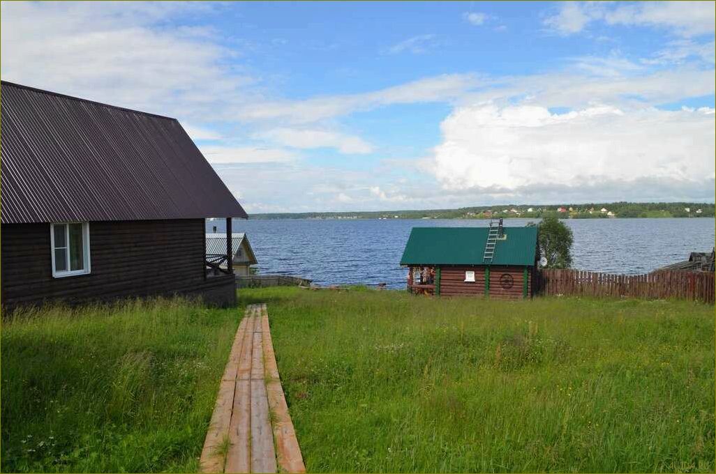 (лучшие, базы, отдыха, вологодской, области) Лучшие базы отдыха в Вологодской области для отдыха с собакой — идеальный вариант для дружного семейного отпуска на природе