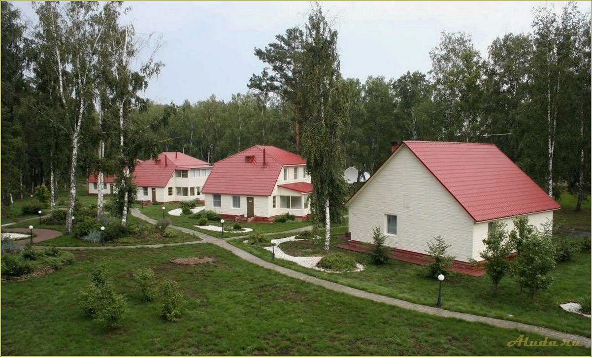 (лучшие, базы, отдыха, томске, томской) Лучшие базы отдыха в Томске и Томской области летом
