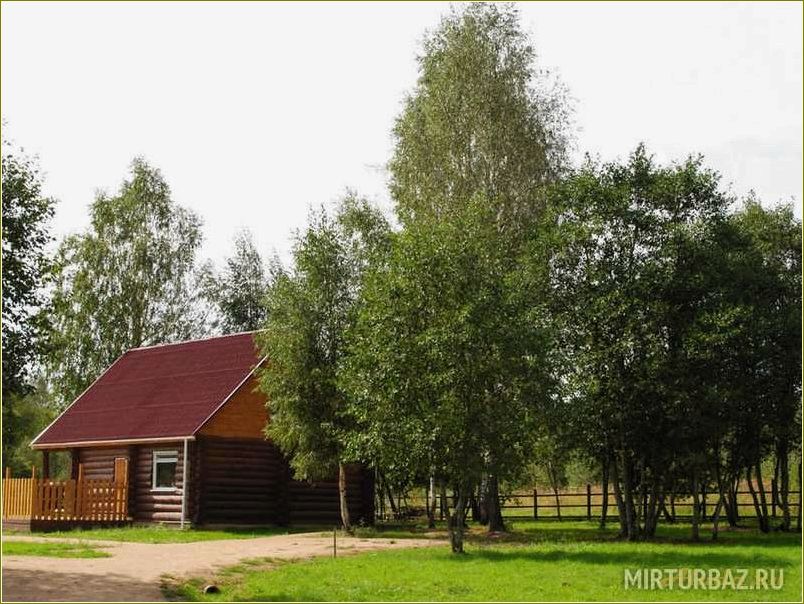 (дача, база, отдыха, смоленской, области) Дача база отдыха в Смоленской области