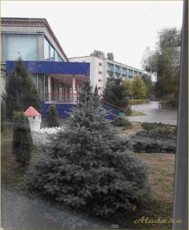 (отдыха, светлана, саратовской, области) Дом отдыха Светлана по Саратовской области