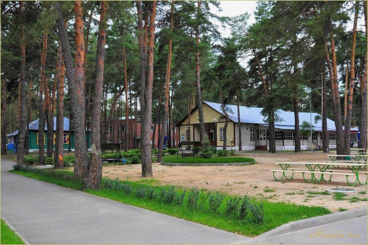 (лучшие, дома, отдыха, рязанской, области) Лучшие дома отдыха в Рязанской области, где ваш ребенок проведет незабываемые каникулы