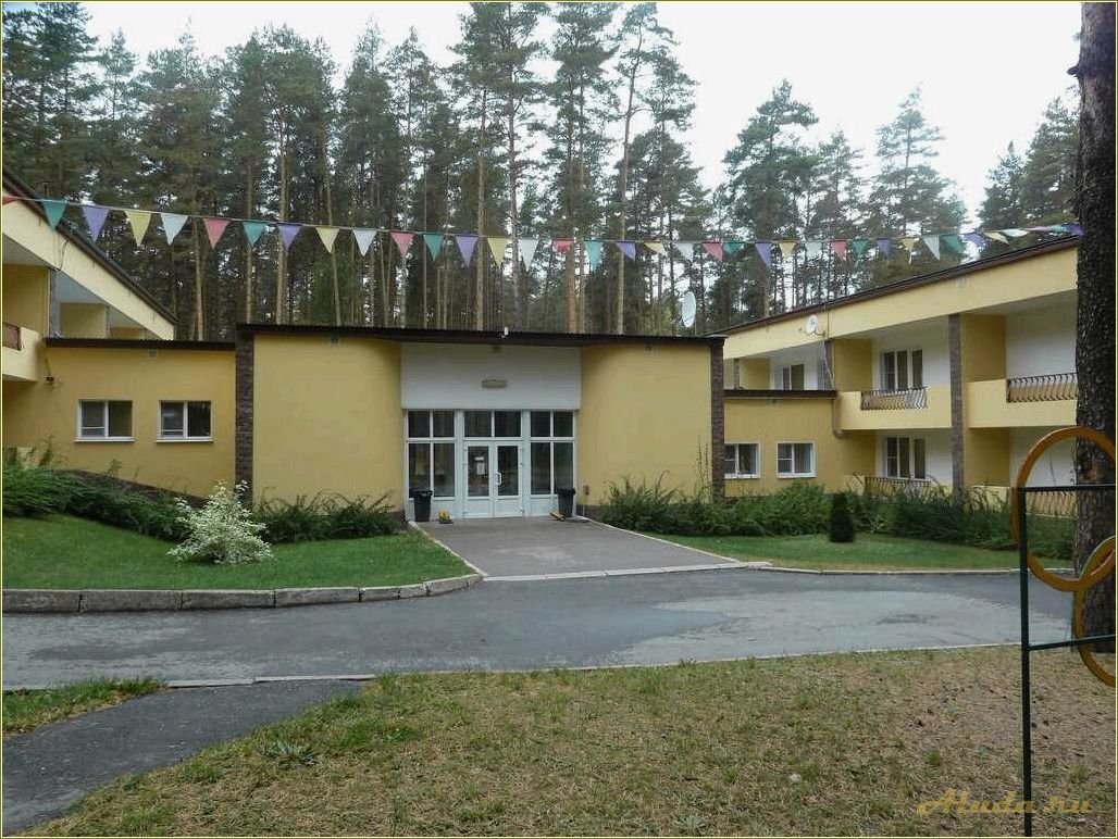 (лучшие, дома, отдыха, рязанской, области) Лучшие дома отдыха в Рязанской области, где ваш ребенок проведет незабываемые каникулы