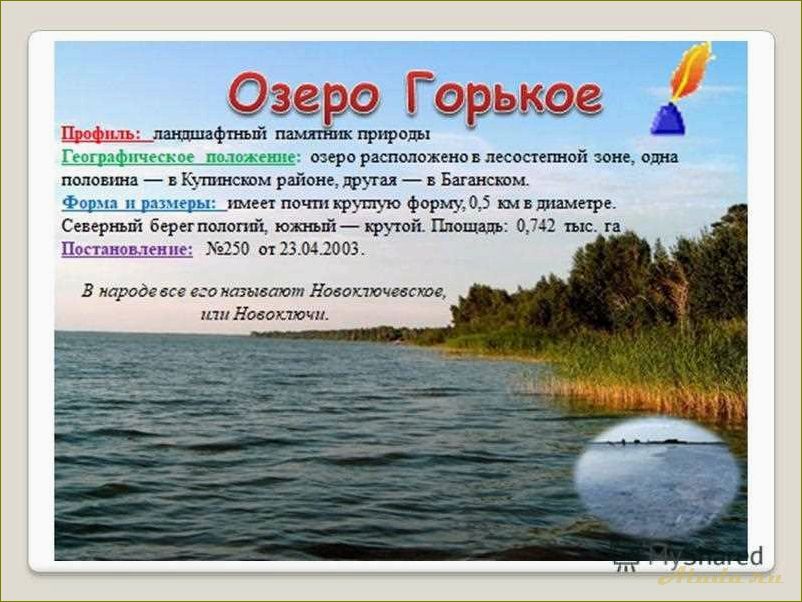 (отдых, лечебных, озерах, новосибирской, области) Отдых на лечебных озерах Новосибирской области — наслаждайтесь природой и укрепляйте здоровье!