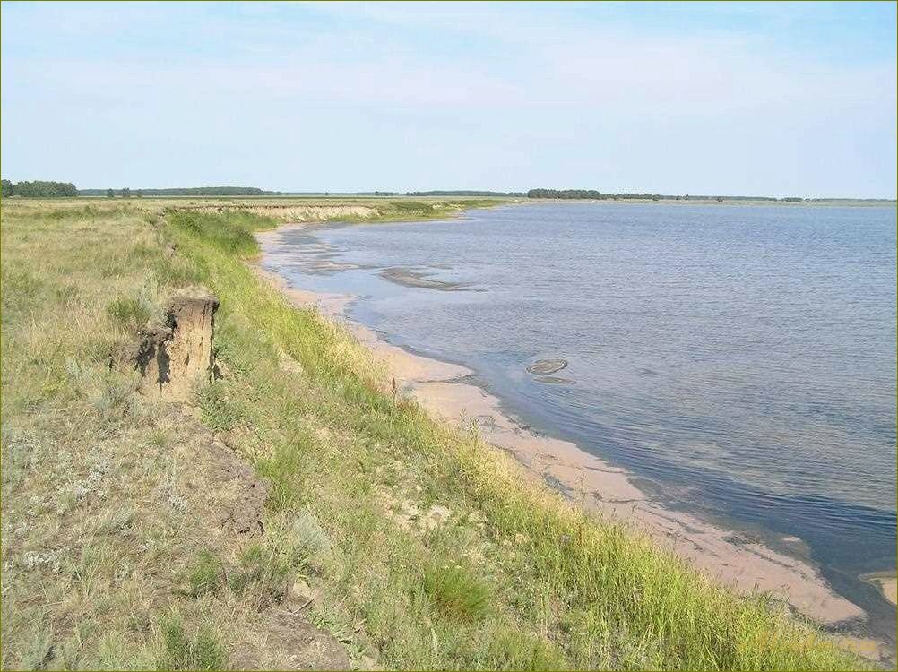 (отдых, лечебных, озерах, новосибирской, области) Отдых на лечебных озерах Новосибирской области — наслаждайтесь природой и укрепляйте здоровье!