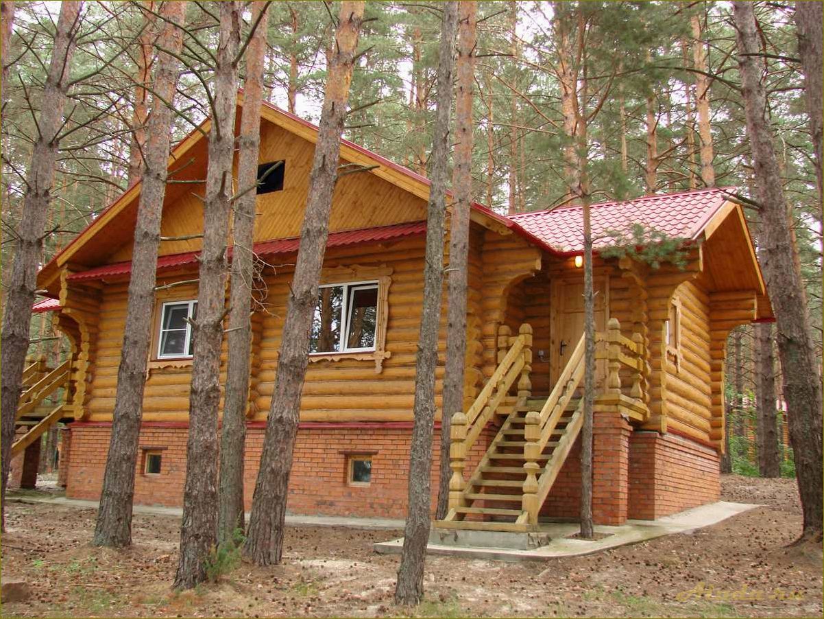 (нижегородская, область, идеальное, место, семейного) Нижегородская область — идеальное место для семейного отдыха — от культурных достопримечательностей до прекрасной природы и уютных гостиниц