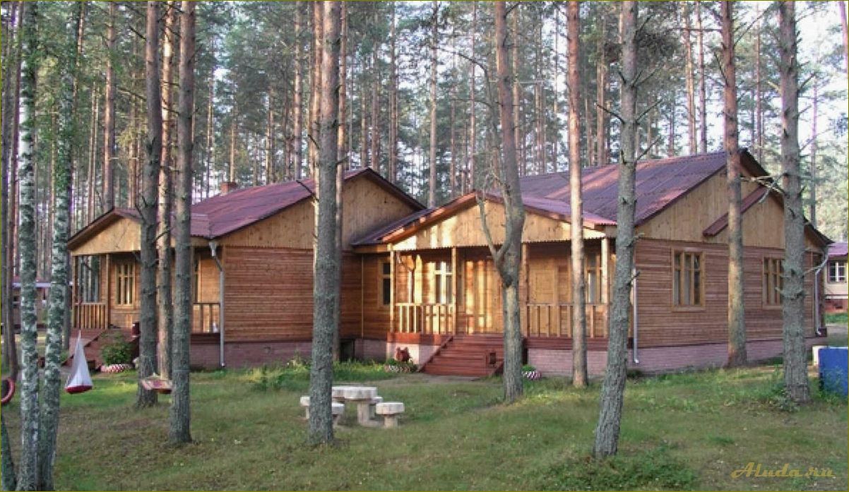 (нижегородская, область, идеальное, место, семейного) Нижегородская область — идеальное место для семейного отдыха — от культурных достопримечательностей до прекрасной природы и уютных гостиниц