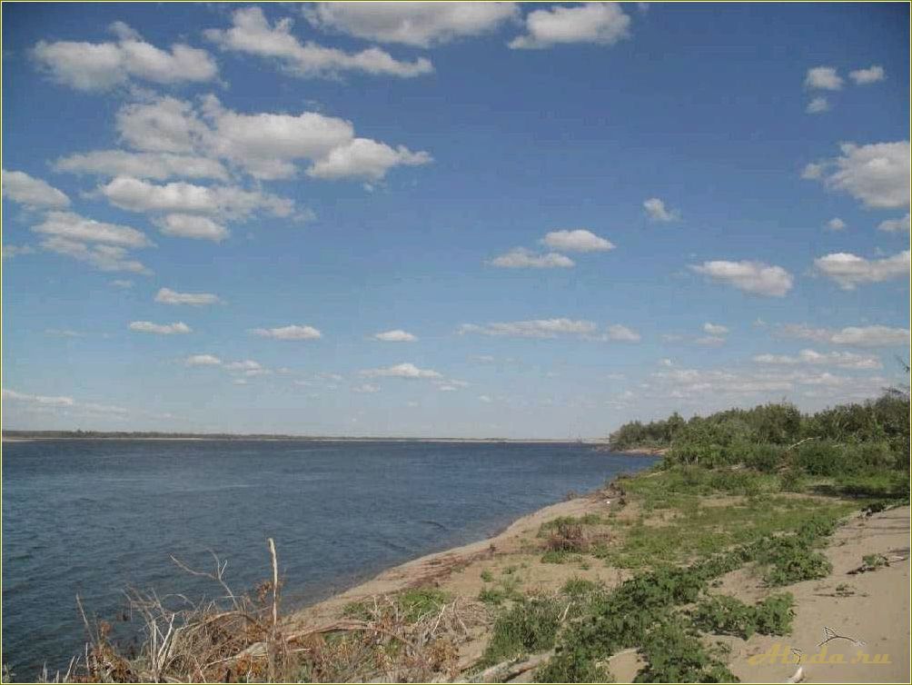 (острова, отдыха, волге, саратовская, область) Острова для отдыха на Волге Саратовская область