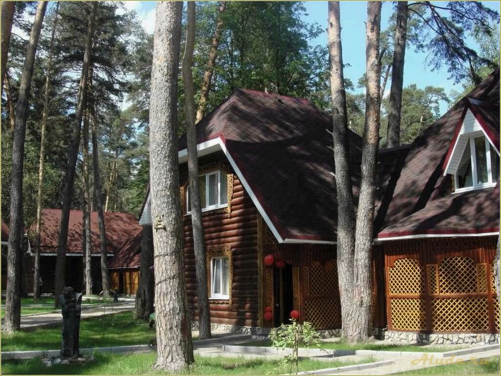 (отдых, алексине, тульская, область, лучшие) Отдых в Алексине, Тульская область: лучшие места для отдыха