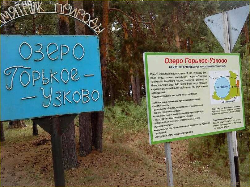 (отдых, озере, горькое, курганской, области) Отдых на озере Горькое в Курганской области — лучшие места, активности и советы для незабываемого отпуска
