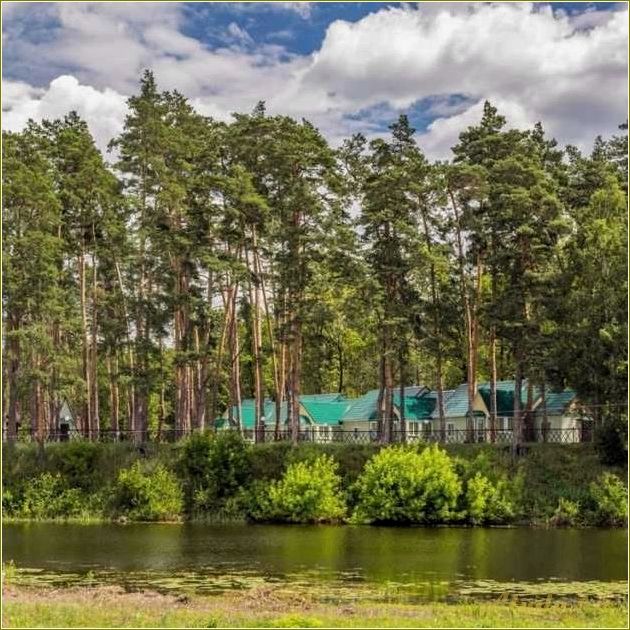 (отдых, берегу, реки, тамбовской, области) Отдых на берегу реки в Тамбовской области