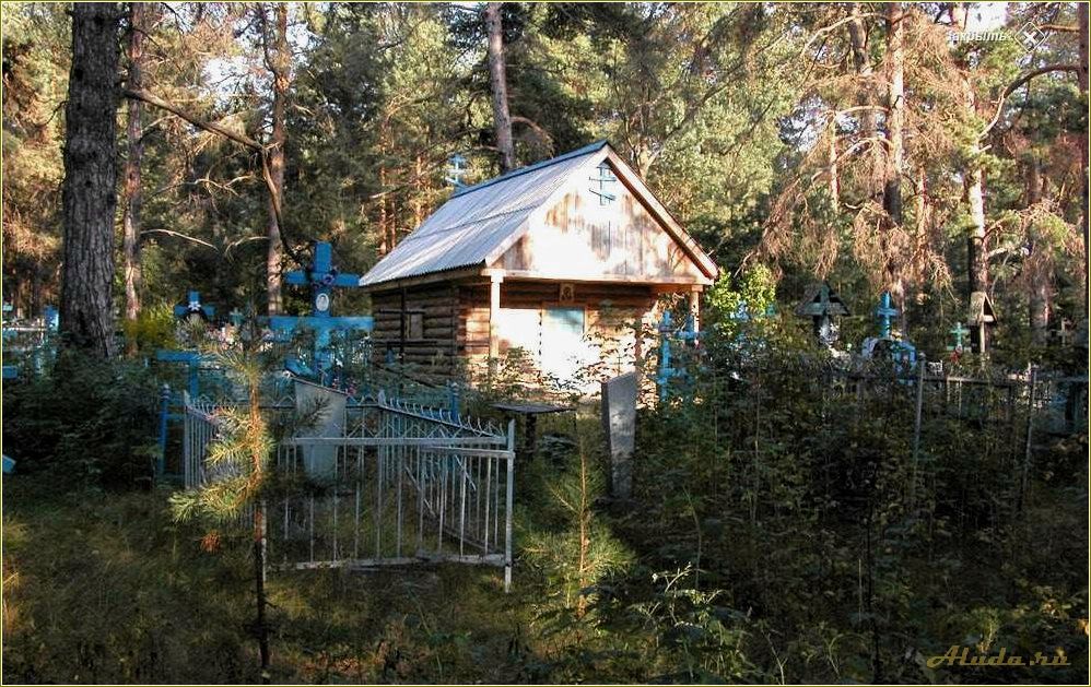 (отдых, комаровке, самарская, область, идеальное) Отдых в комаровке самарская область — идеальное место для семейного отдыха и активного времяпрепровождения на природе!