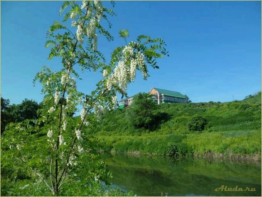 (отдых, тамбовской, области, наслаждение, русской) Отдых в тамбовской области: наслаждение русской деревней