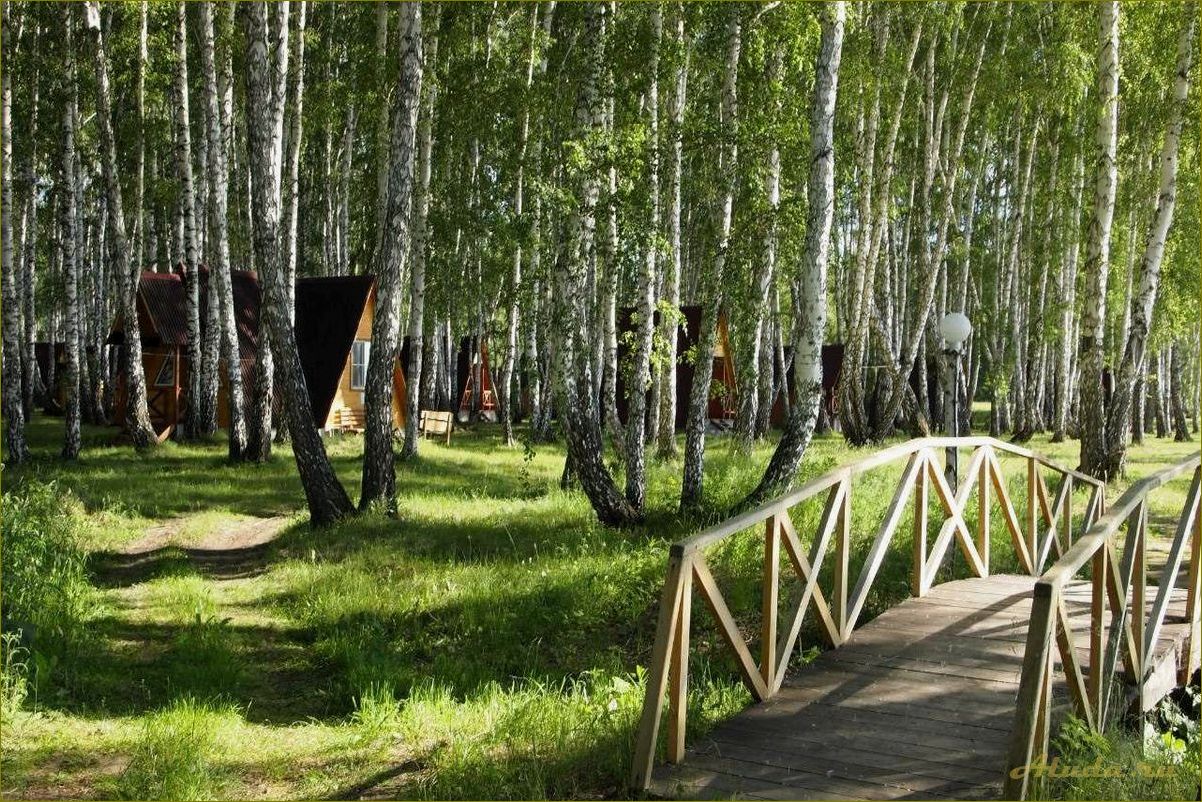 (необыкновенные, выходные, окружении, природы, отдых) Необыкновенные выходные в окружении природы — отдых в новосибирской области на базе отдыха
