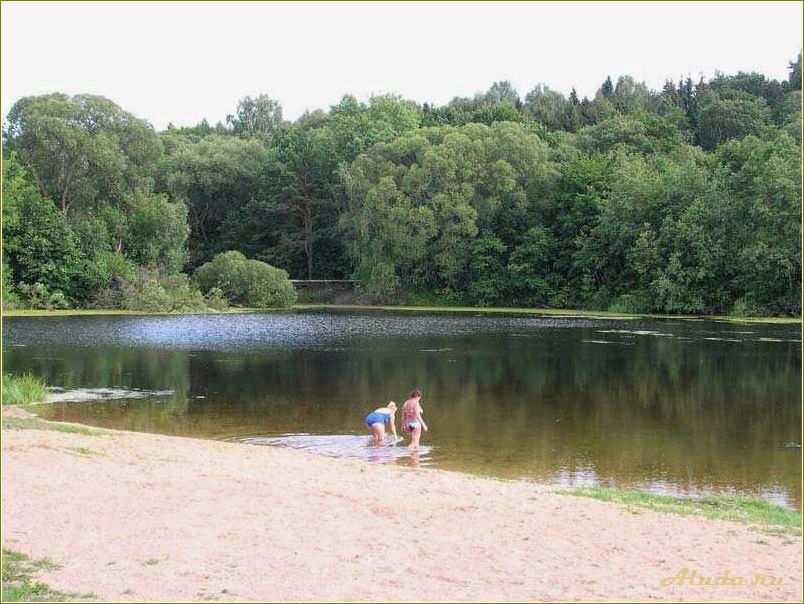 (отдых, озерах, пляжем, смоленской, области) Отдых на озерах с пляжем в Смоленской области