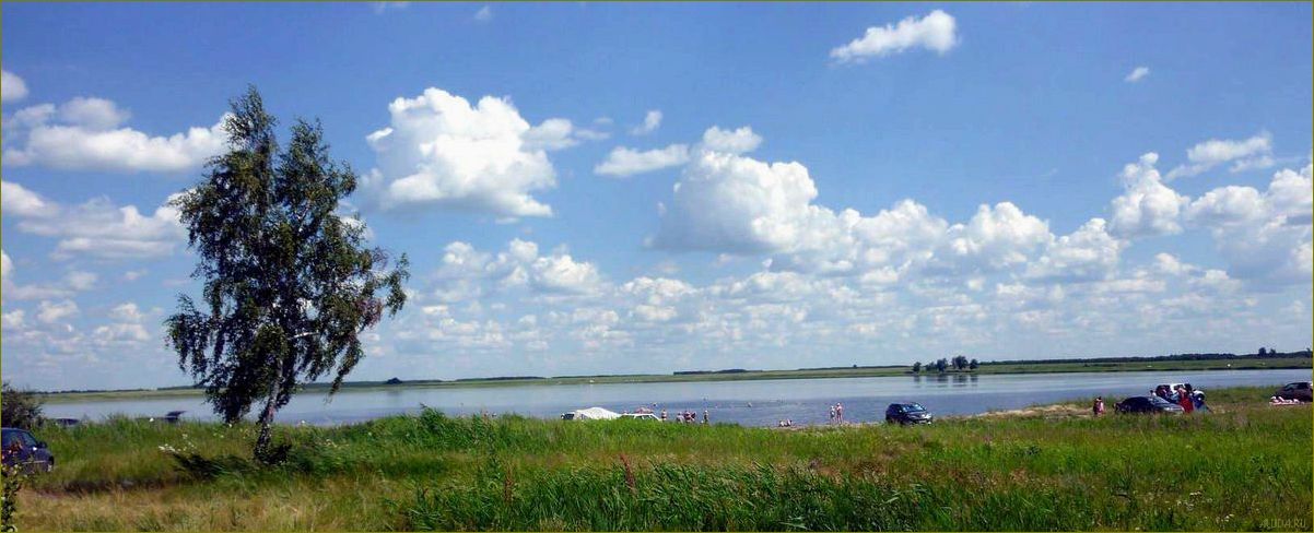 (озера, курганской, области, идеальное, место) Озера Курганской области — идеальное место для отдыха в уютных домиках среди живописных природных пейзажей