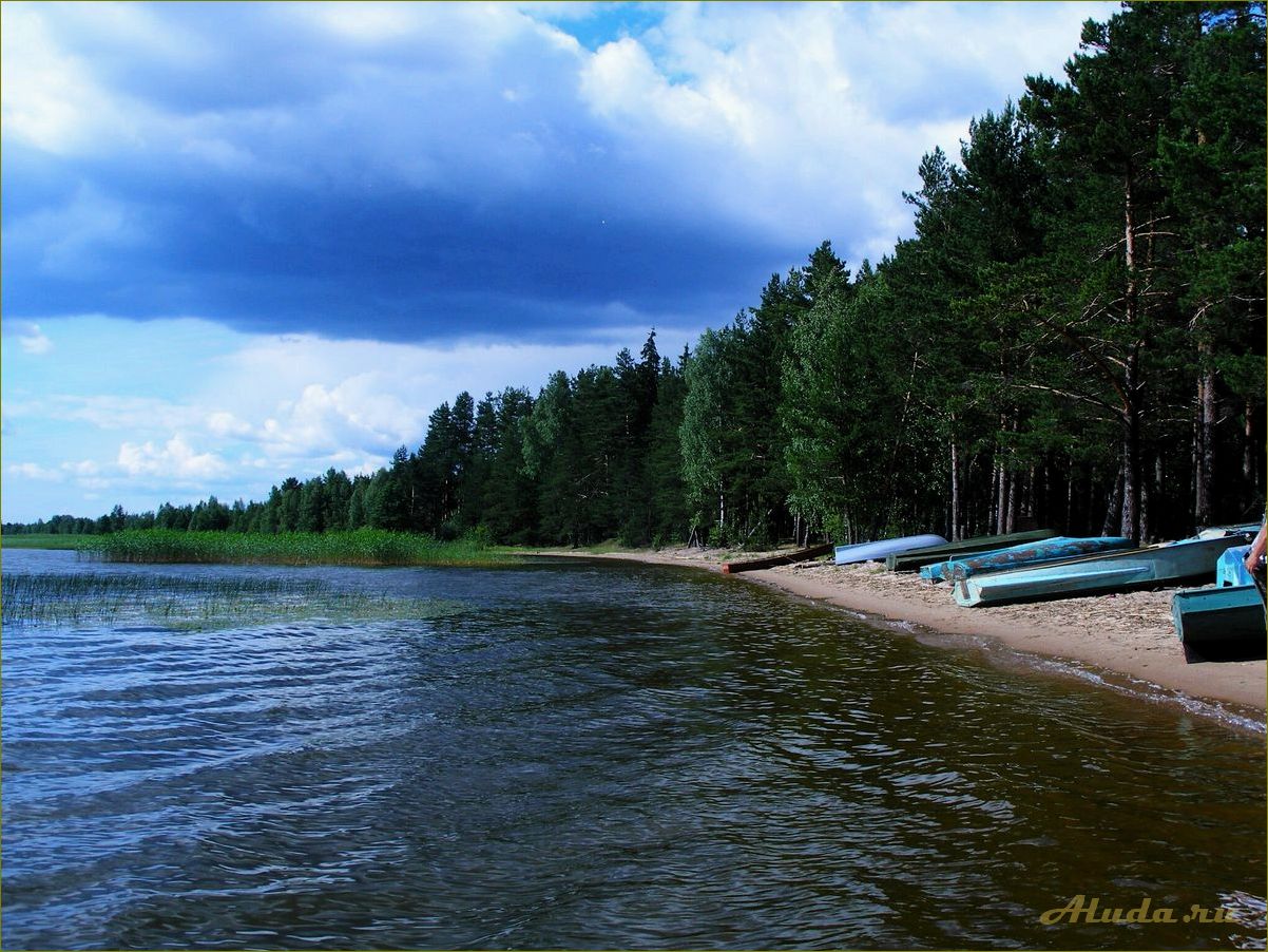 (озера, ульяновской, области, отдыха) Озера Ульяновской области для отдыха