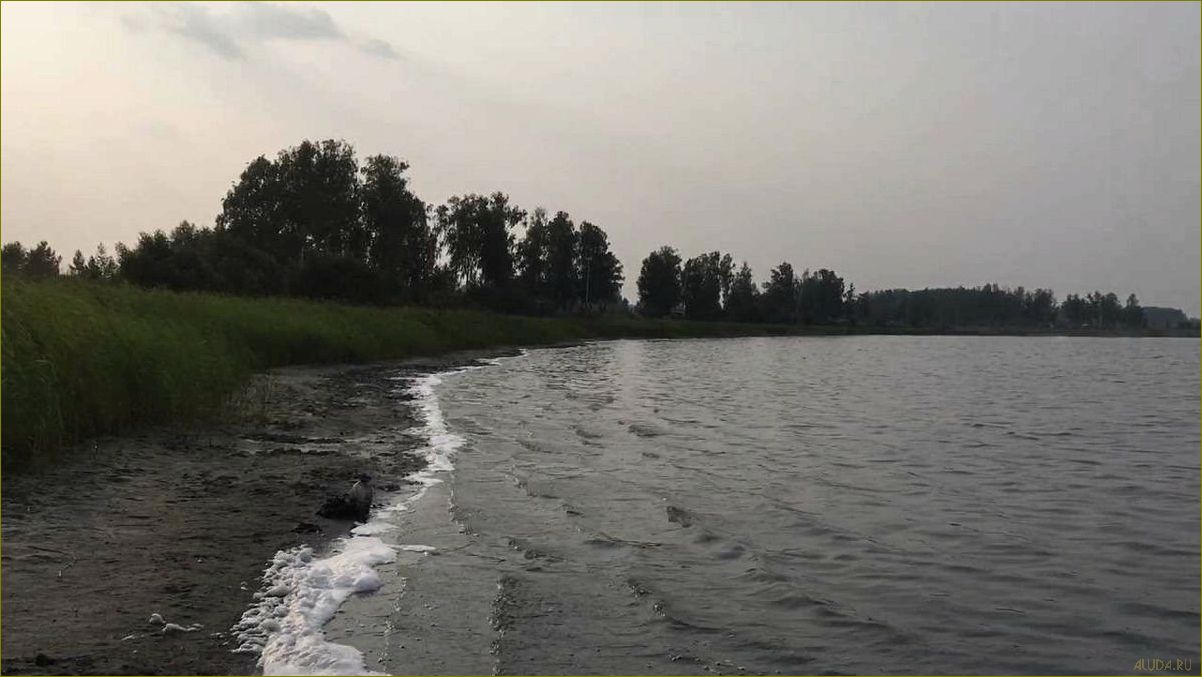 (озеро, шамеля, курганской, области, идеальное) Озеро Шамеля в Курганской области — идеальное место для отдыха и релаксации