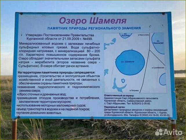 (озеро, шамеля, курганской, области, идеальное) Озеро Шамеля в Курганской области — идеальное место для отдыха и релаксации