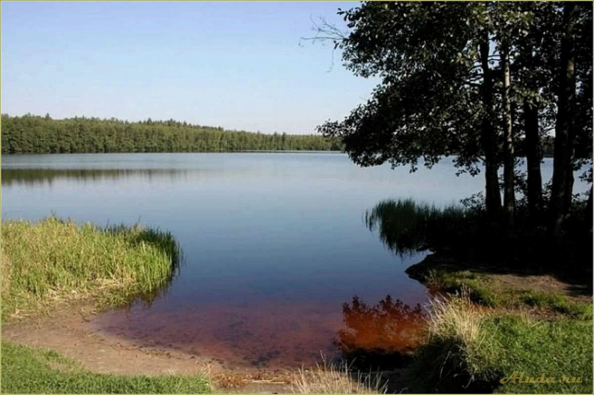 (пляжный, отдых, берегу, реки, рязанской) Пляжный отдых на берегу реки Ока в Рязанской области — идеальное место для летнего отдыха и релаксации