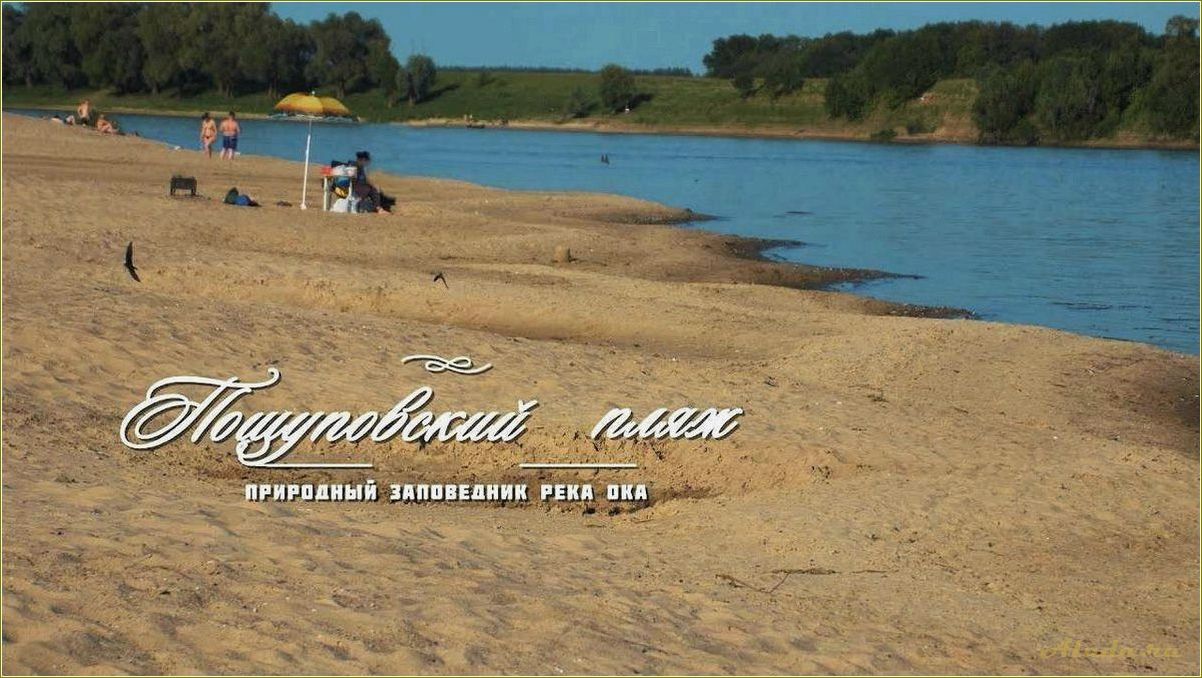 (пляжный, отдых, берегу, реки, рязанской) Пляжный отдых на берегу реки Ока в Рязанской области — идеальное место для летнего отдыха и релаксации