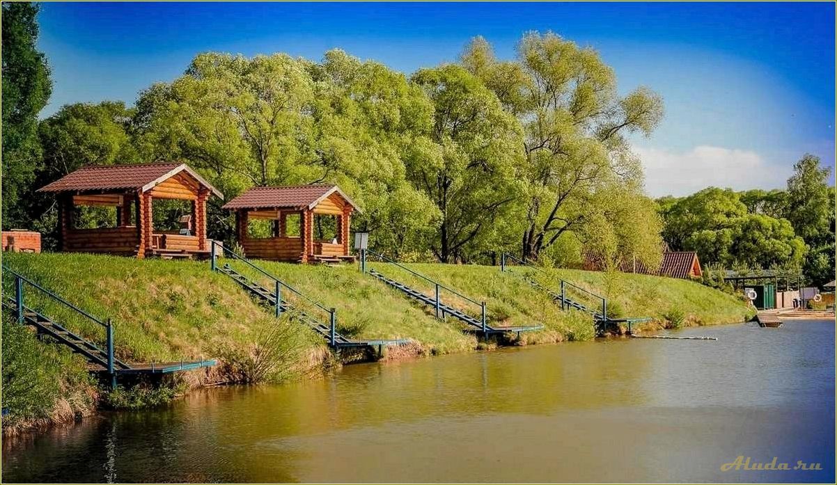 (база, отдыха, тульской, области, отличный) База отдыха