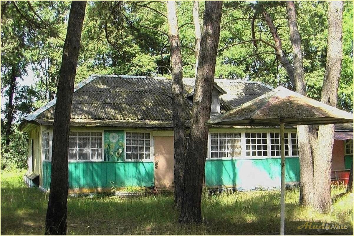 (база, отдыха, тульской, области, отличный) База отдыха