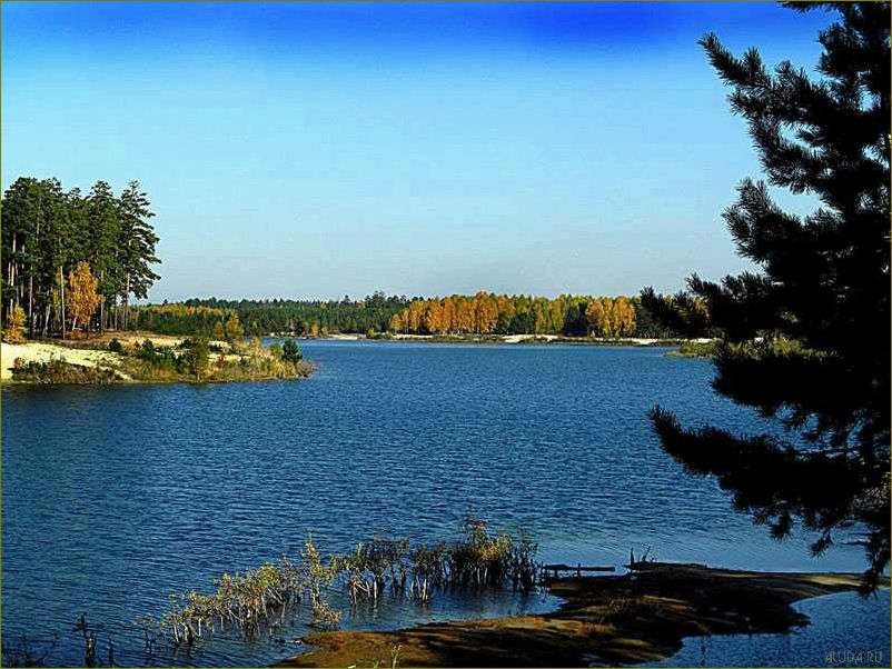 (озера, курганской, области, уникальные, природные) Озера Курганской области — уникальные природные аттракции и идеальные места для отдыха и релаксации