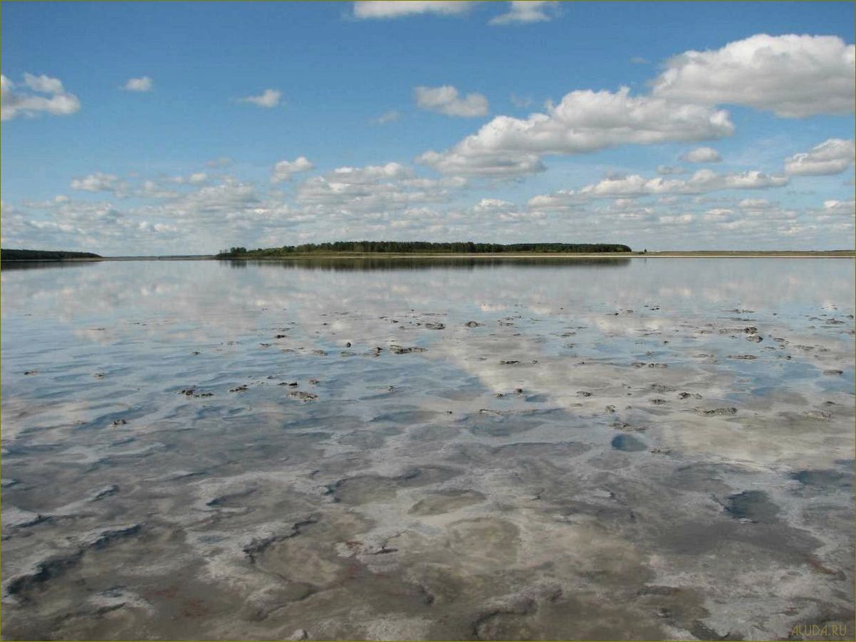 (озера, курганской, области, уникальные, природные) Озера Курганской области — уникальные природные аттракции и идеальные места для отдыха и релаксации