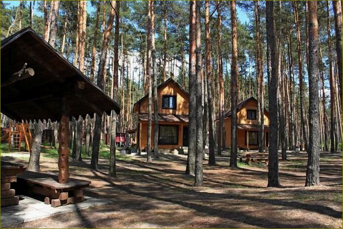 (лучшие, бани, базы, отдыха, прекрасной) Лучшие бани и базы отдыха в прекрасной белгородской области — идеальное место для релакса и восстановления сил