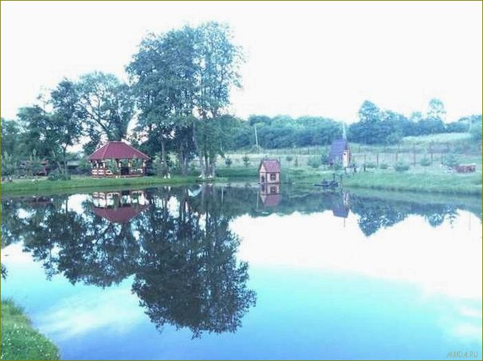 (база, отдыха, морозово, идеальное, место) База отдыха Морозово — идеальное место для отдыха в Белгородской области, где сливаются комфорт и природная красота