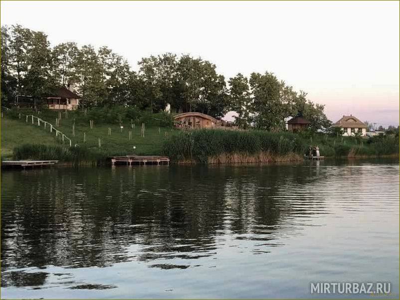 (база, отдыха, морозово, идеальное, место) База отдыха Морозово — идеальное место для отдыха в Белгородской области, где сливаются комфорт и природная красота