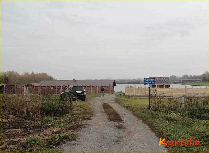 (база, отдыха, морозово, идеальное, место) База отдыха Морозово — идеальное место для отдыха в Белгородской области, где сливаются комфорт и природная красота