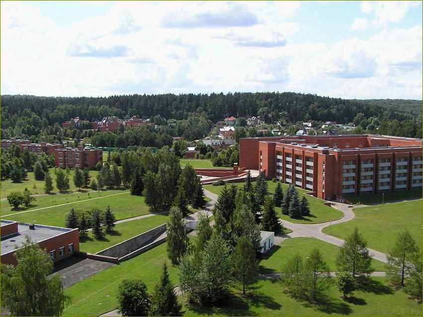 (база, отдыха, поляны, московской, области) База отдыха